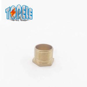 Závitem Šestiúhelník Mosaz Bush