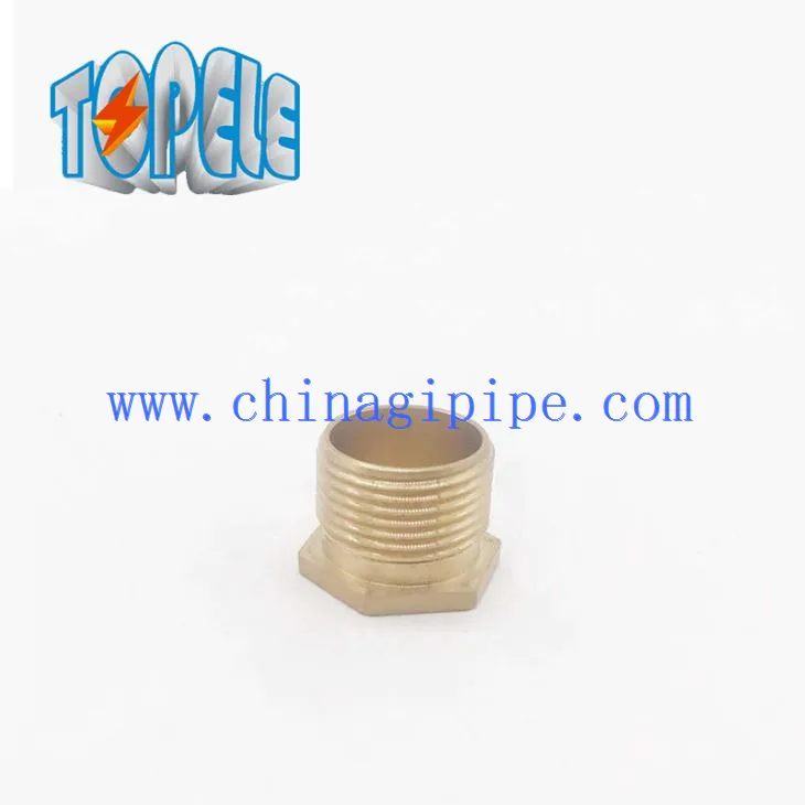 Závitem Šestiúhelník Mosaz Bush